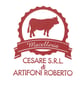 01 logo (1)