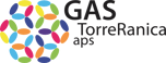 GAS